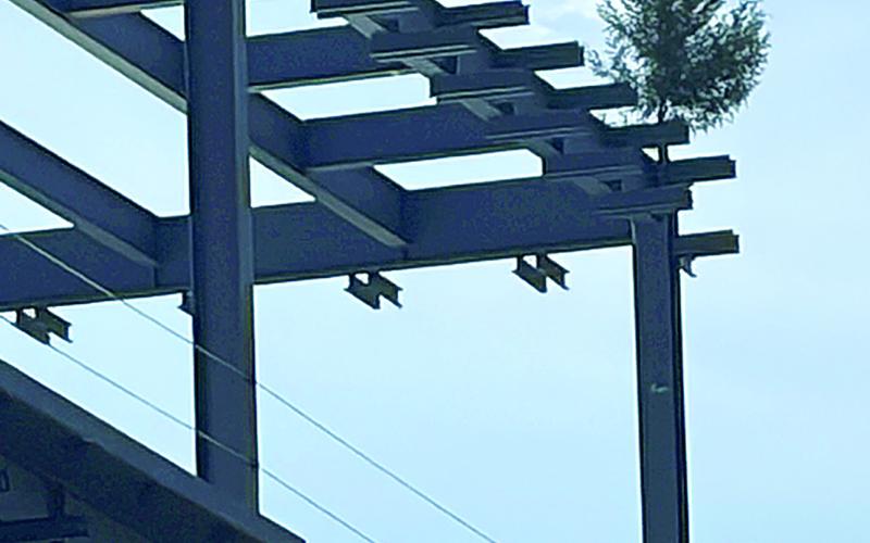 Topping Out Ceremony Marks Major Milestone for Future Texas Health Forney Hospital