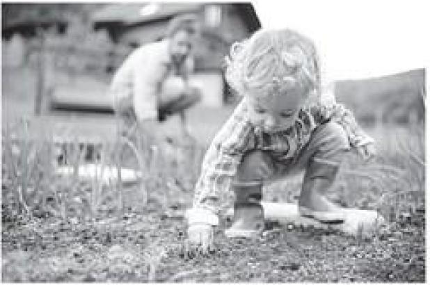 August Gardening Chores