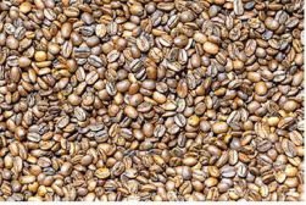 How To Brew The Perfect Cup Of Coffee