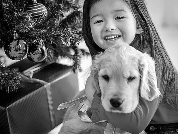 Things To Know Before Giving Pets As Gifts