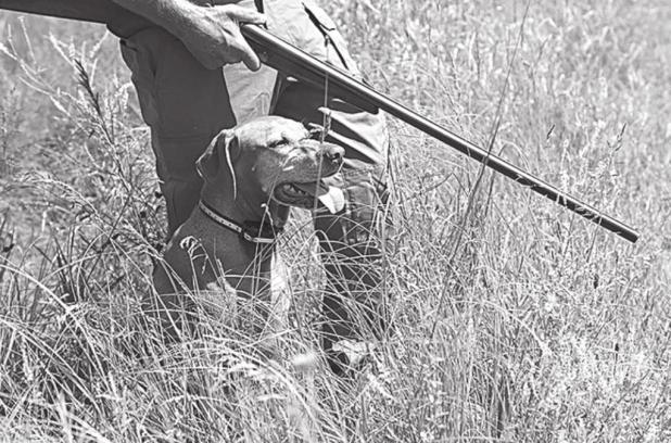 Texas Parks and Wildlife Commission Approves Hunting Regulations Changes for 2022-23