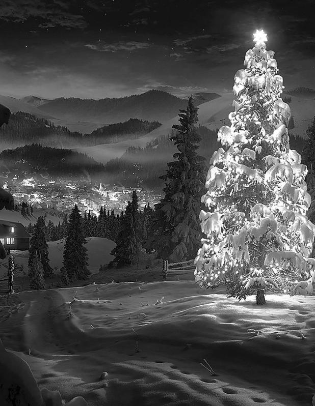 O, Christmas Tree