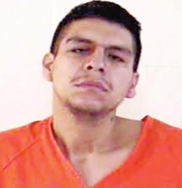 Stolen Vehicle / Escaped Prisoner