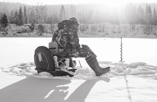 Public Help Sought to Report Fish and Wildlife Impacted by Winter Storm Uri