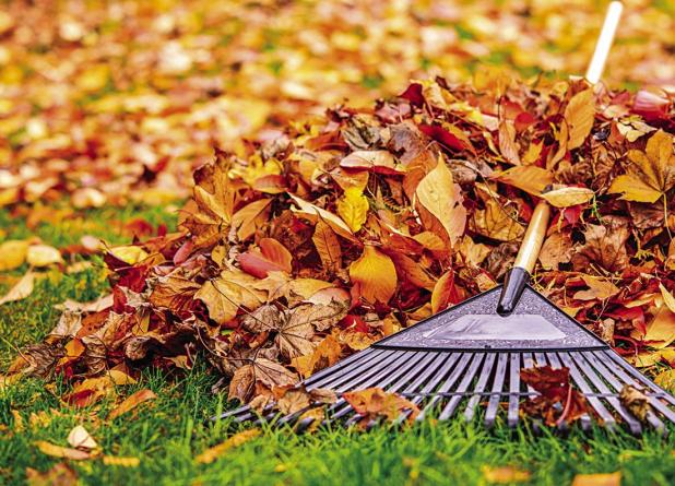 Natural Ways to Fight Fall Allergies