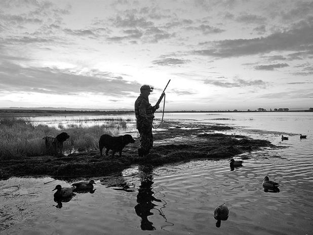 Dry Conditions Could Pose Challenges for Waterfowl Hunters This Season