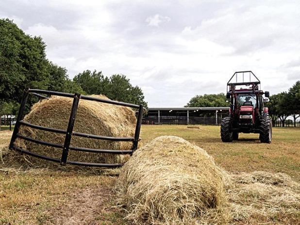 Texas Cattle Sales Picking Up Due to Drought