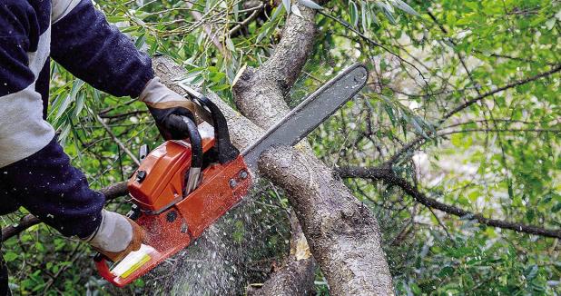 The Right Equipment Readies You For Storms, Unpredictable Spring Weather: Are You Prepared?