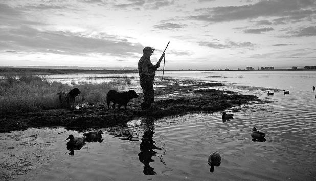 TPWD Biologists Anticipate Promising Season for Waterfowl Hunters