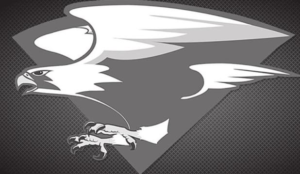Falcons, Jackrabbits, & Area Football