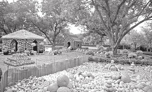Autumn at the Arboretum’s Annual Fall Festival Features “Bugtopia”