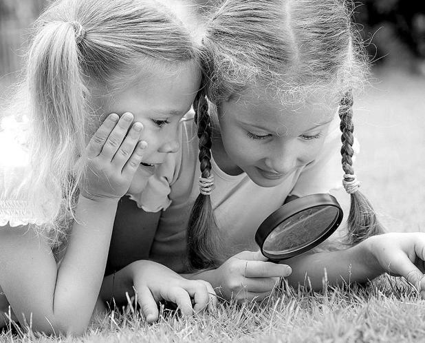 The TurfMutt Foundation’s Lesson Plans Help Kids Avoid the “Summer Slide”