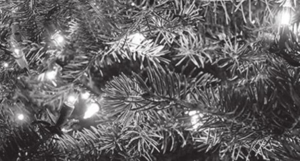 Did You Know? Christmas Lights