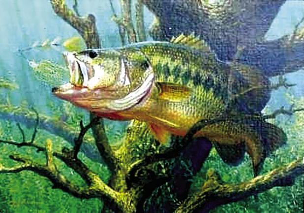 Freshwater Fish Stamp Celebrates 20th Anniversary