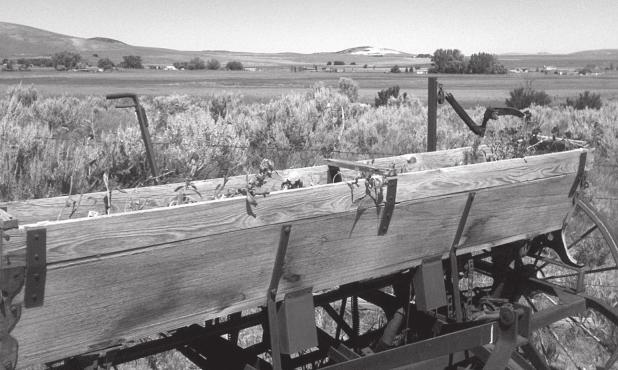 My “cotton-picking business” around 1959-1960…