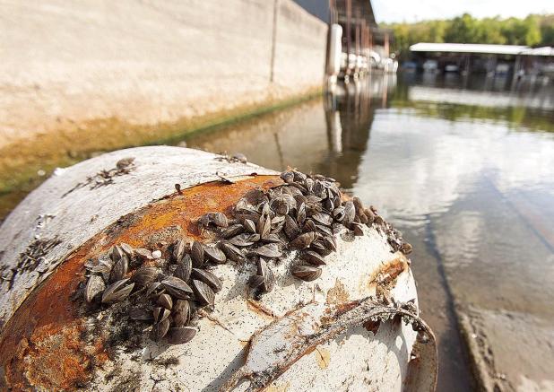TPWD Highlights Importance for Boaters to “Clean, Drain, and Dry”