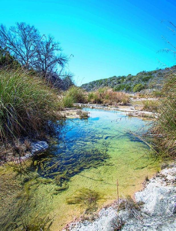 TPWD Completes Phase Two Property Purchase of 1,100 Acres Near Colorado Bend State Park