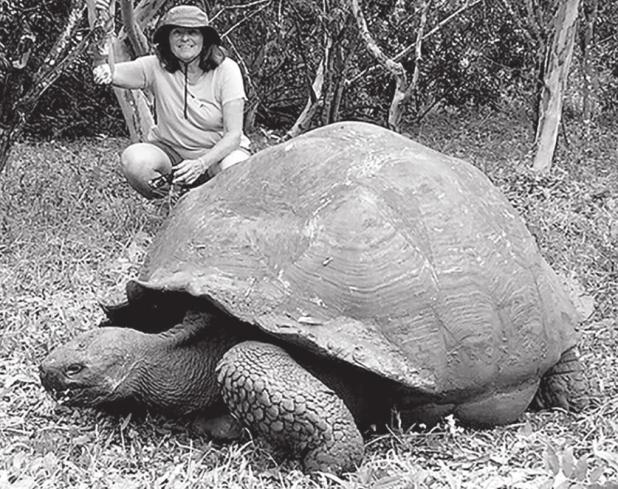 I am sad the TURTLE died!