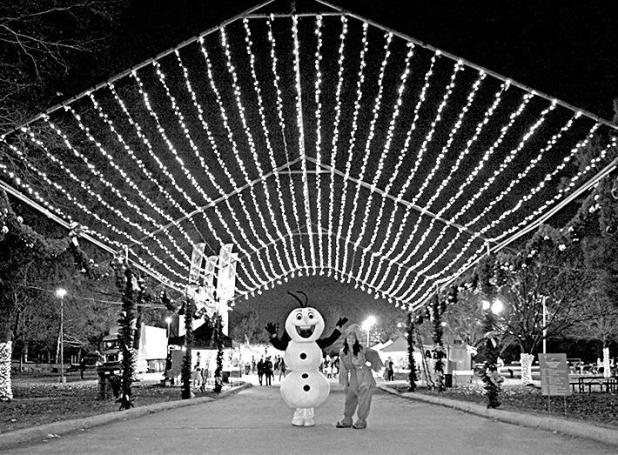 Annual Mesquite Christmas in the Park