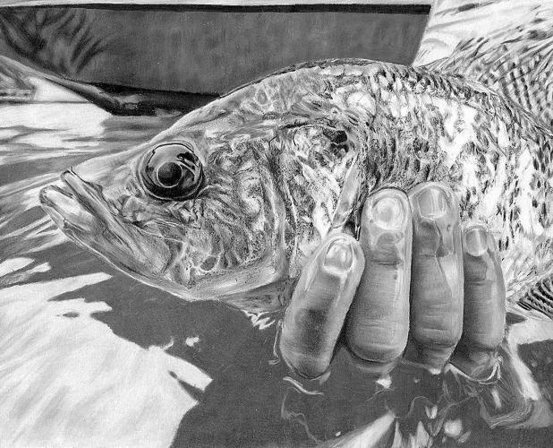 2025 Texas Fish Art Contest Opens For Entries