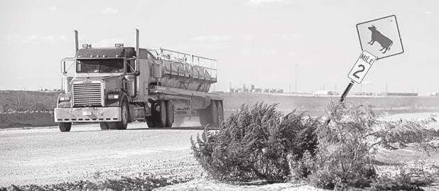Texas House Bill Could Shield Companies From