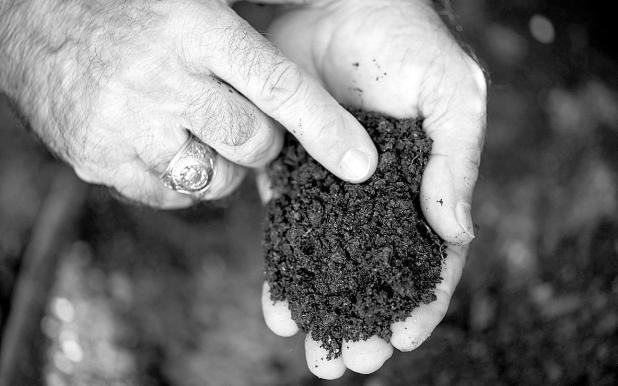 Why Should I Get My Soil Tested?