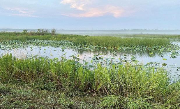 A Visionary Dream Turns Into A Lifeline For Dallas Residents: The John Bunker Sands Wetland Center