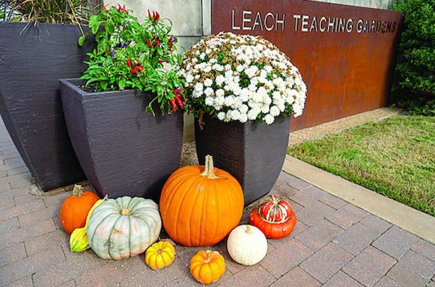 Prepare Your Garden For The Holiday Season
