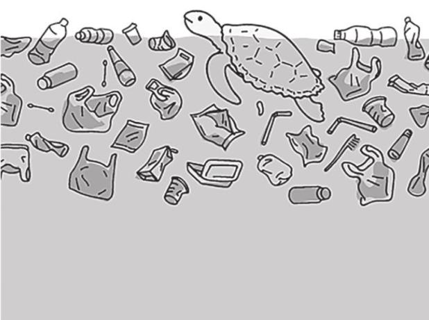 The Threat Posed by Marine Debris