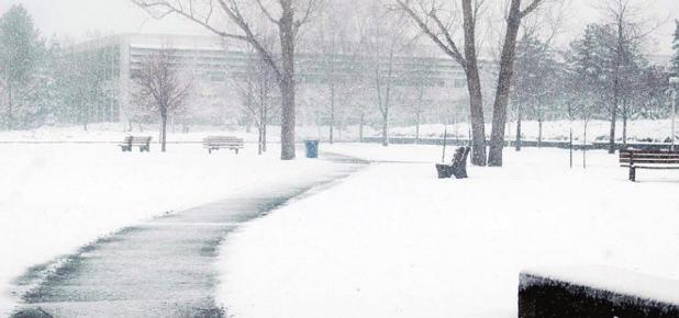 Hoo-ray, the Cold Weather is Over—it is MARCH!