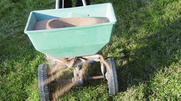 Gardening Chores for March
