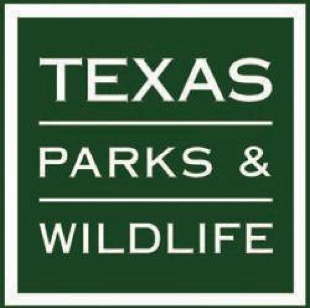 Leaving Wildlife Alone is Best Practice