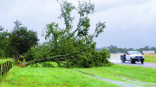 How Are Hurricanes Named?