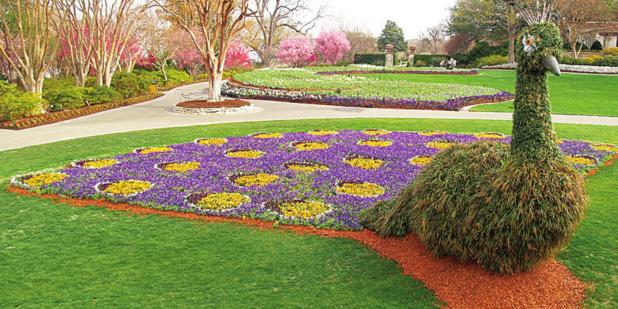 Dallas Arboretum Presents Dallas Blooms: Birds in Paradise
