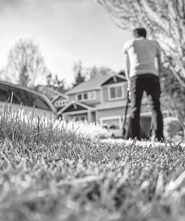 Did you know? Lawns