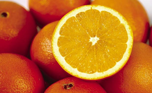 South Texas Citrus Poised for a Comeback