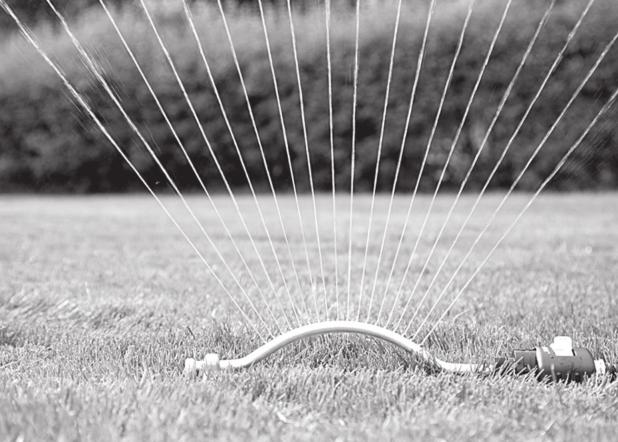 Water Saving Tips for Lawn Care