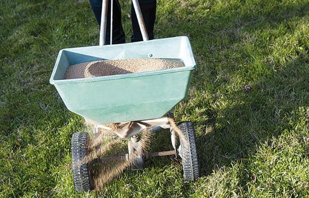 A Spring Lawn Revitalization Strategy