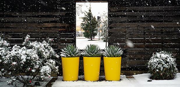 Five Steps To Prepare Your Garden For Winter