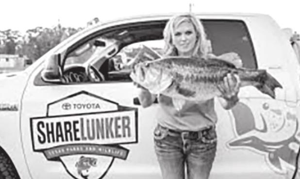Toyota ShareLunker Program Launched 35th Season January 1st
