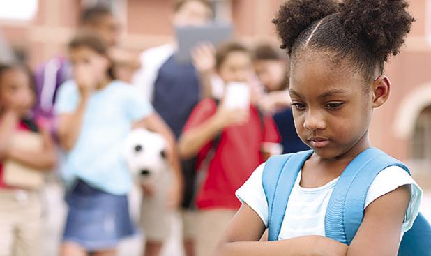 Did You Know, Bullying at School