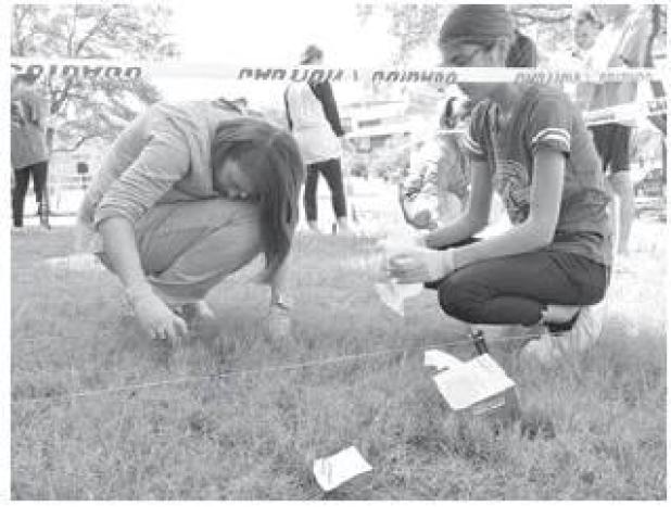 What is forensic entomology
