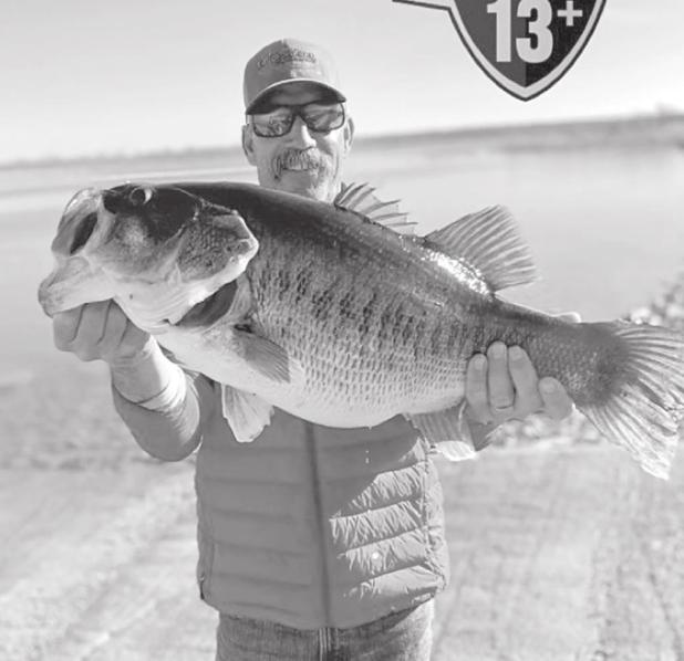 Toyota ShareLunker Program Enjoys Banner Season