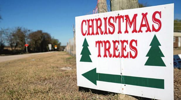 Choose the Right Christmas