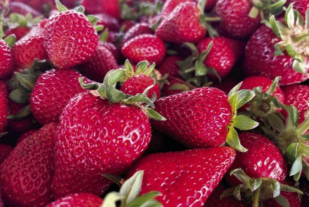 Strawberry Season in Texas Off to an Excellent Start