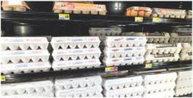 Egg Prices are High, Could go Higher
