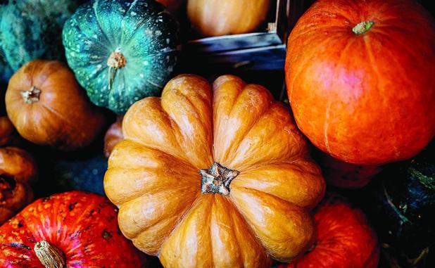 Texas Pumpkin Yields Down, Demand Sky High