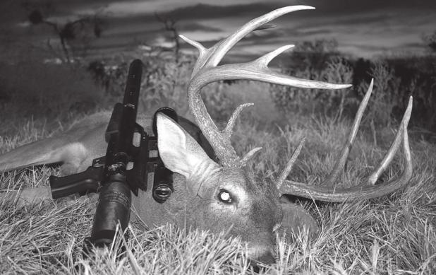 DEER HUNTING, NOT ALL ABOUT ANTLERS