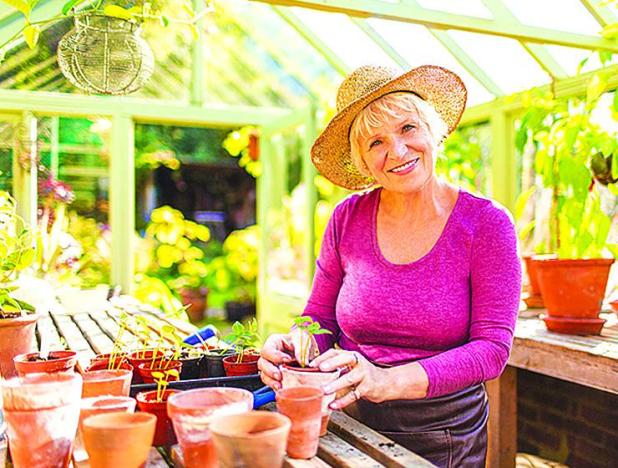 Qualities to Look For in a Post-Retirement Job