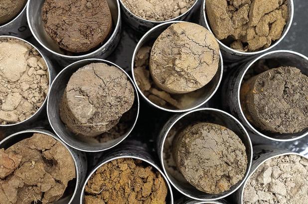 Boost Plant Growth with a Simple Soil Test